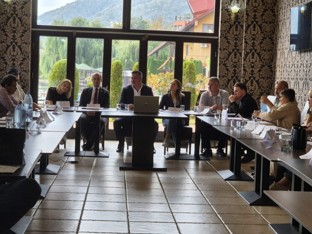 Florin-Cuc-PIAFER-1024x768